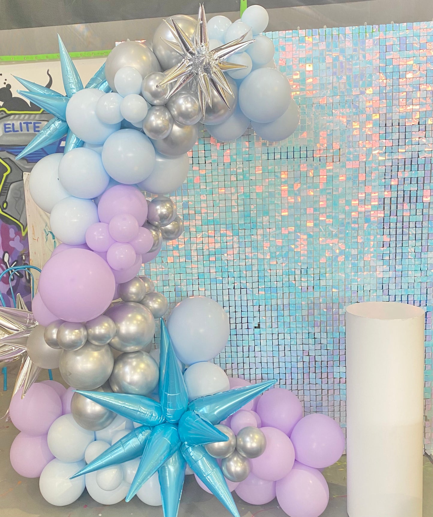 Frozen Theme Balloon Garland 2.5m